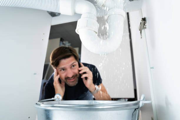Best Sprinkler Systems  in Speedway, IN